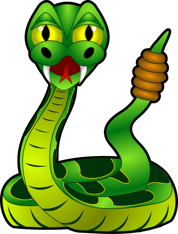 Common Mistakes To Avoid When Setting Up A Snake Habitat