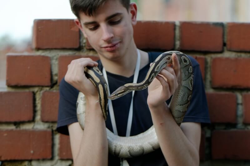 young man, snake, pet